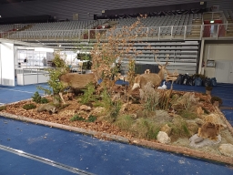 557260164_1367471588716832_4004268034431747416_n